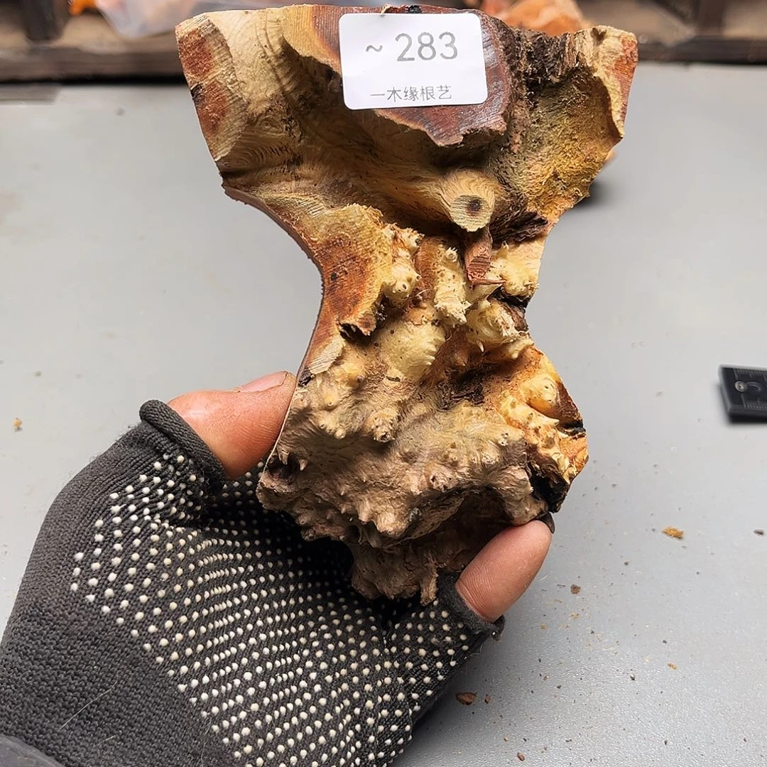 邓***哥无花朵0000000000000283