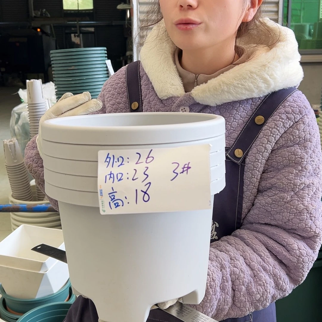 球根盆3#灰白5个无托