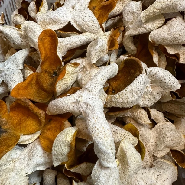 新会2024年东甲牛比围大红冬后皮 圈枝