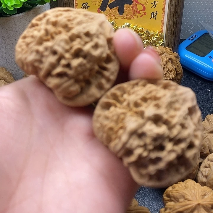 龙脊菩提吊坠官帽50