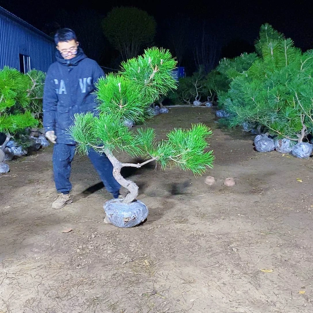 喜***薛完全开放1111111111111111