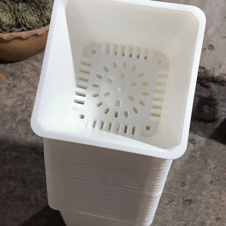 15公分白方盆高11公分12个