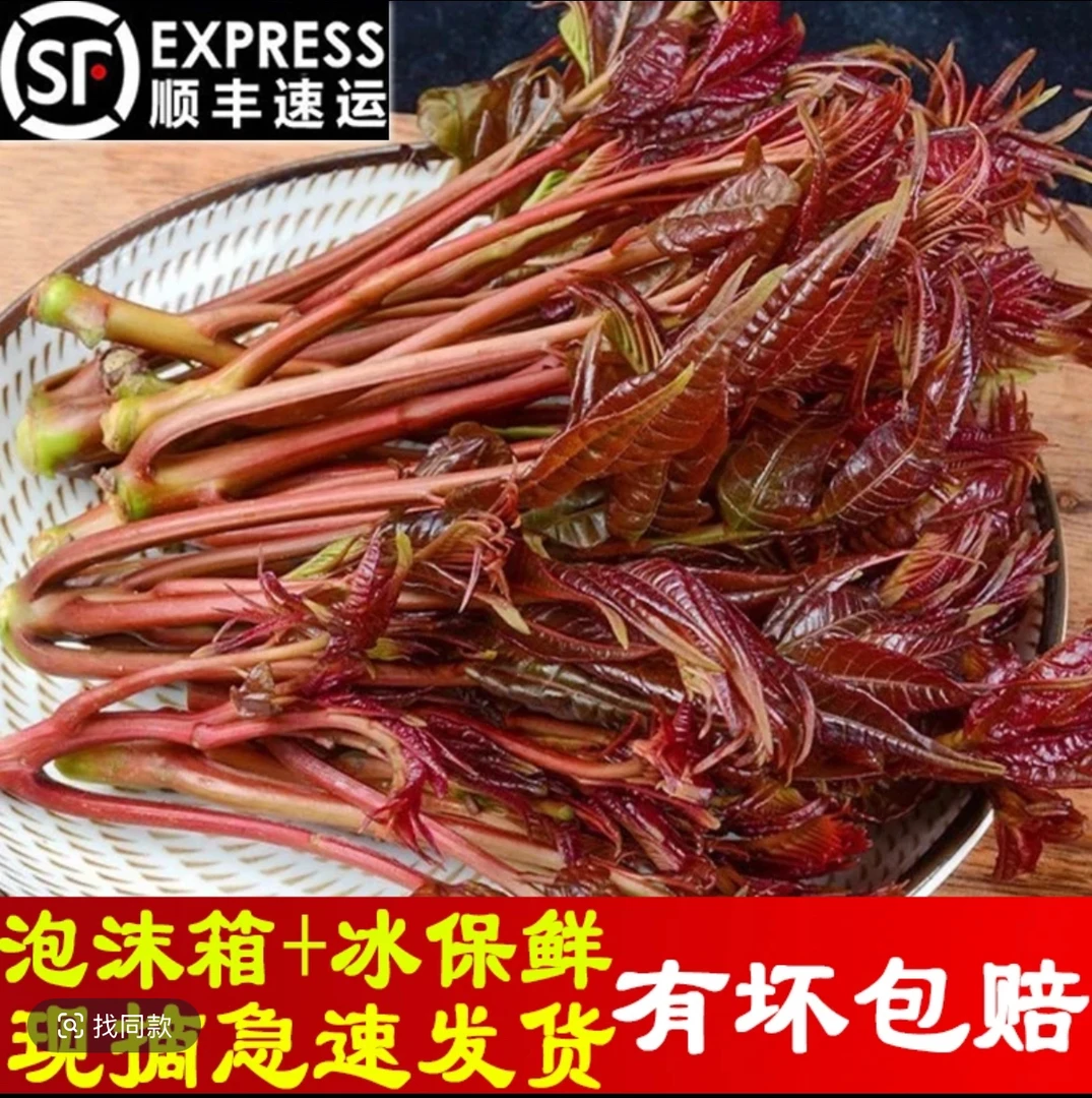 【顺丰】四川现摘红芽香椿芽新鲜香椿芽红油香椿半斤/1/2/3斤