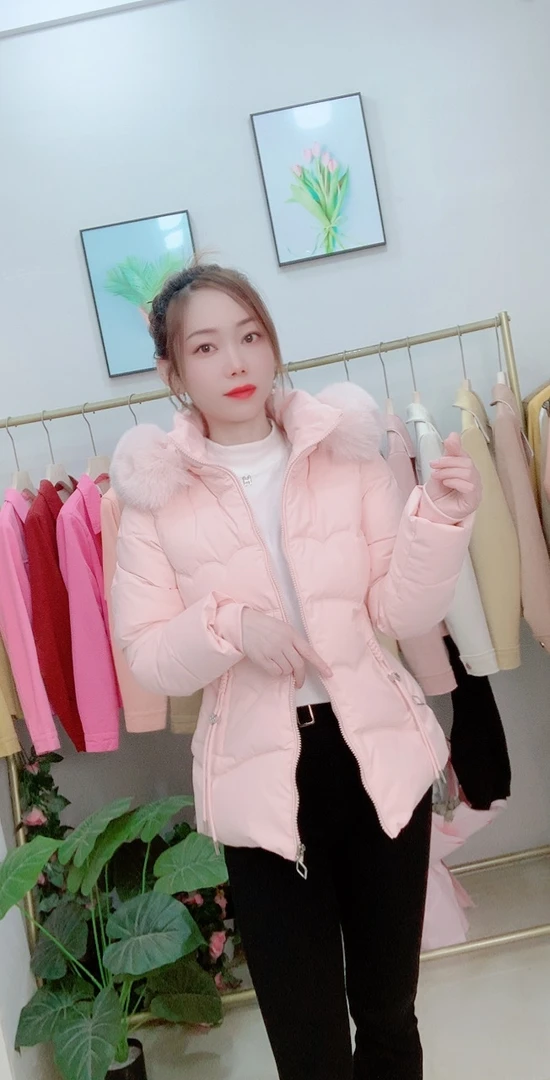 短款修身型纯色可脱卸帽棉衣棉服网红女款