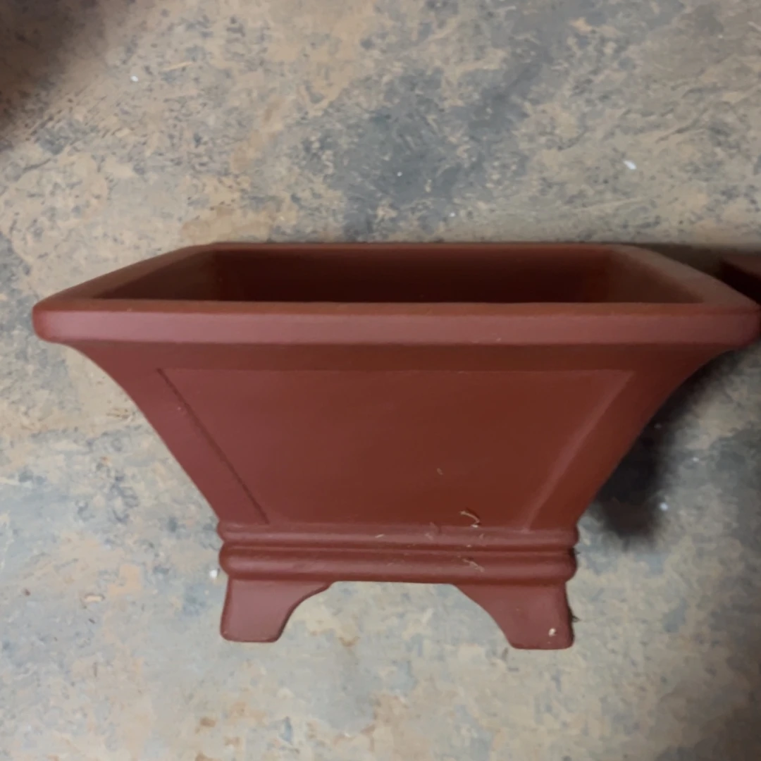 哈哈郭富城v几句后果