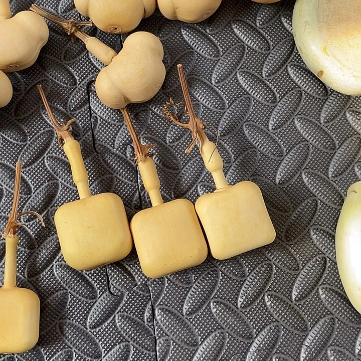 瓶**了我现在也要上班呀了么