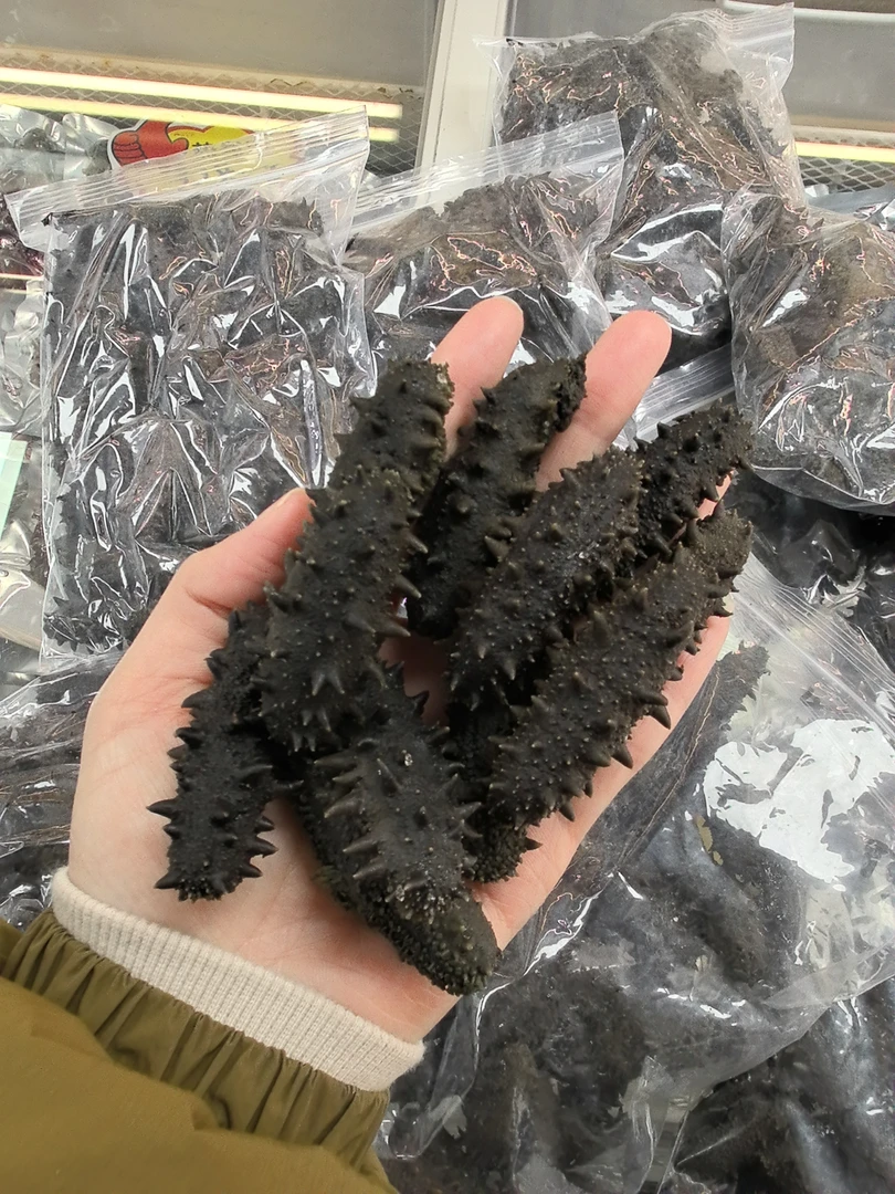 大连顶火半干参/拉缸盐海参 非干货（30-40头）