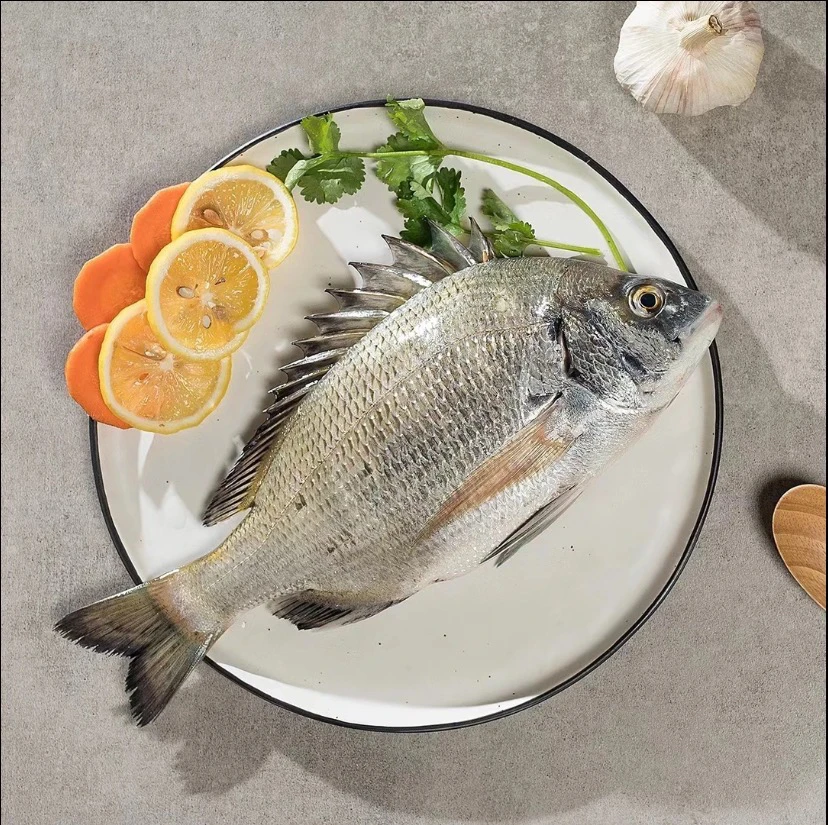 野生海捕黑鲷鱼 顺丰冷链本港发货