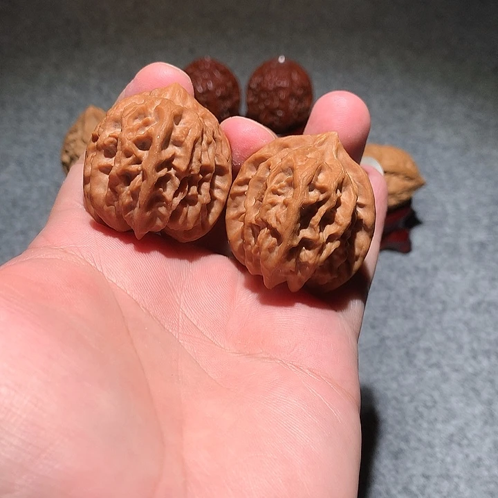 海***洋把件文玩核桃曹大龙36