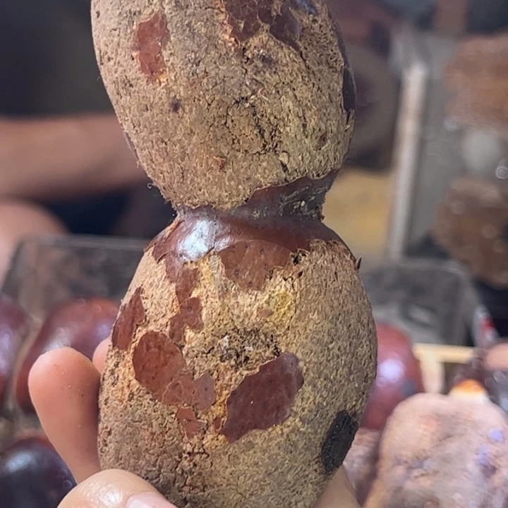 千眼菩提吊坠喝***猫双胞胎金包玉