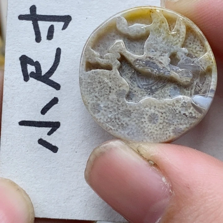 颈饰未镶嵌硅化珊瑚（珊瑚玉）