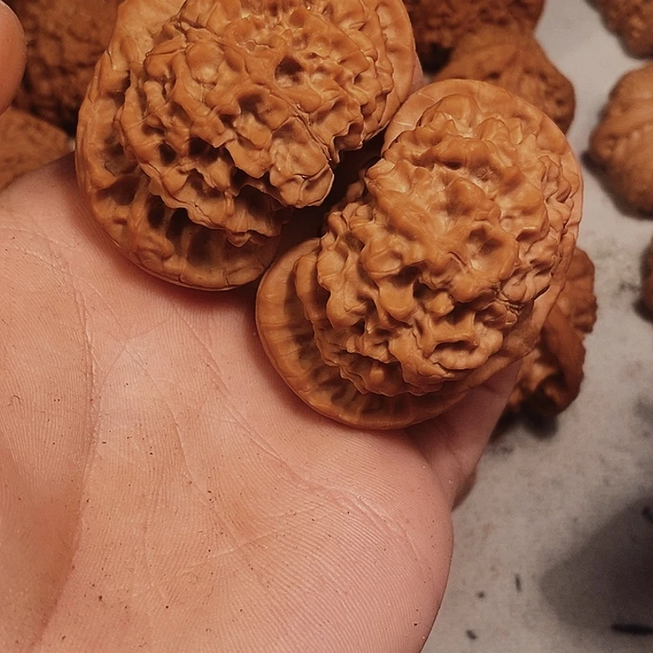 吊坠桃核全品龙鼎纹官帽55