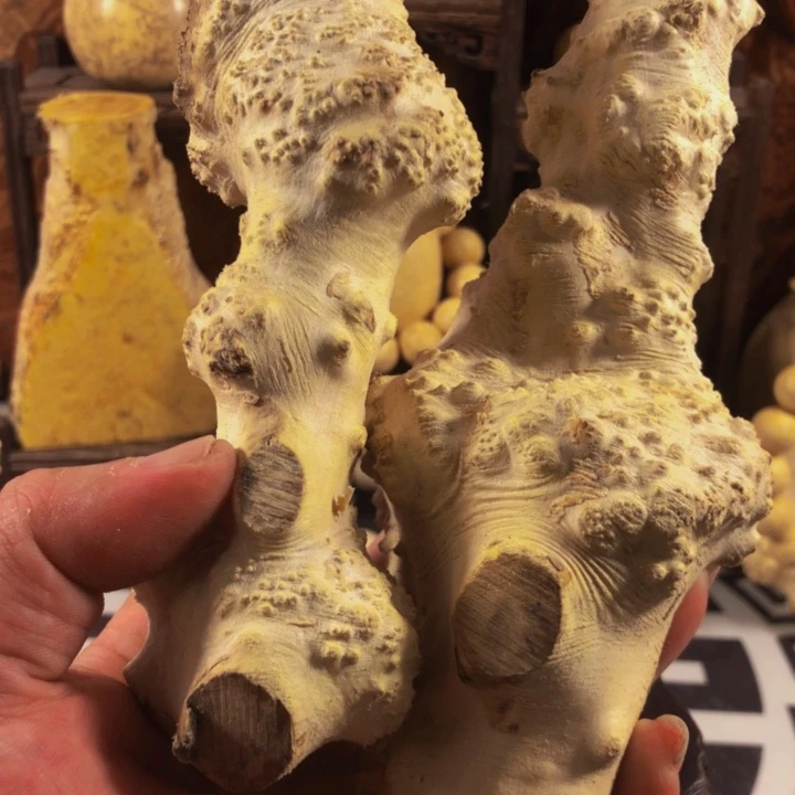 木雲**開木料努力努力努力