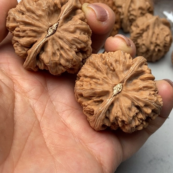 文玩核桃把件流**国粗筋