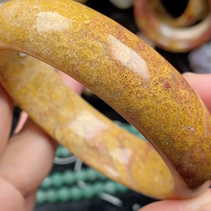 未镶嵌手镯硅化玉62,3