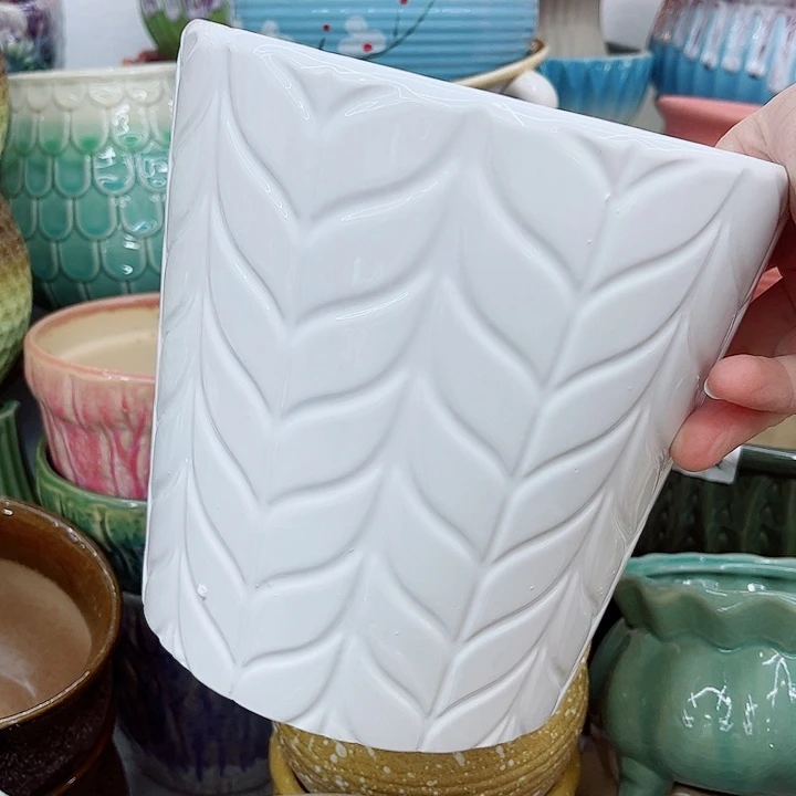 多肉植物陶瓷花盆