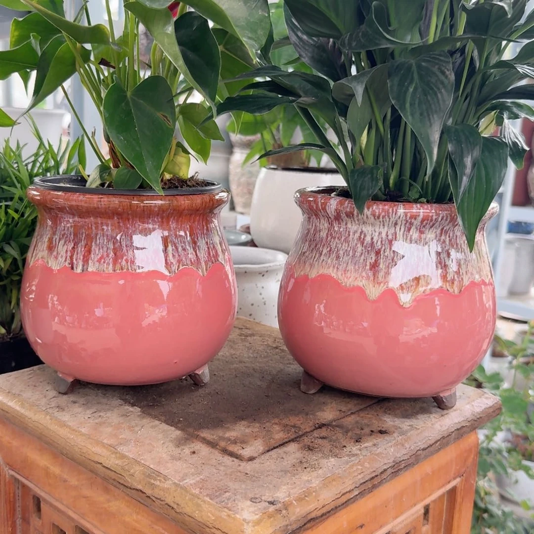 紫砂花盆口15高15.5（两个粉