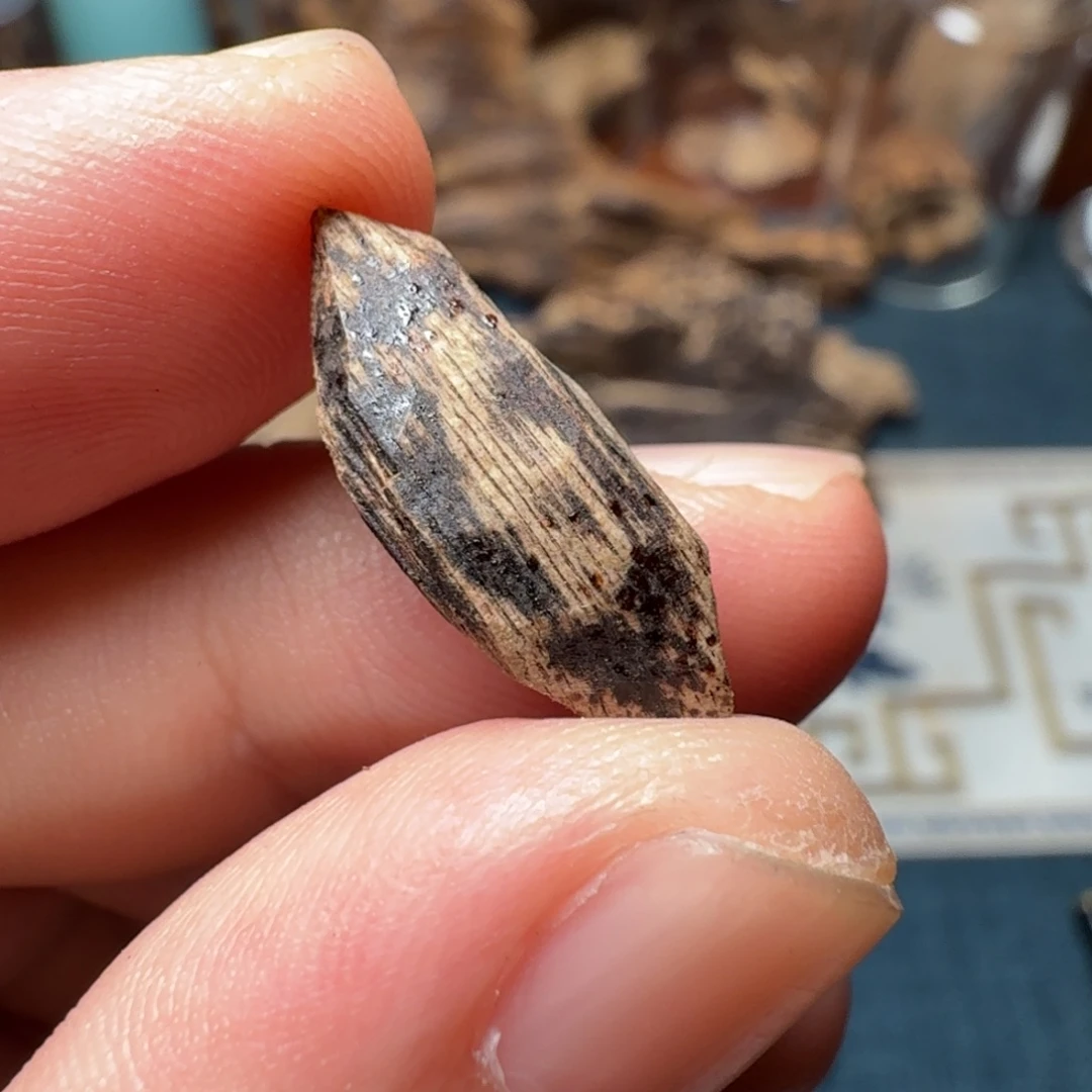 沉香斯里兰卡瓜子