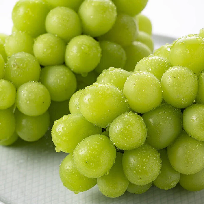 【配送到家】阳光玫瑰一件约四斤半云南省