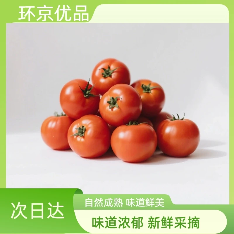 环京优品日本原味1号沙瓤多汁西红柿多汁番茄河北省