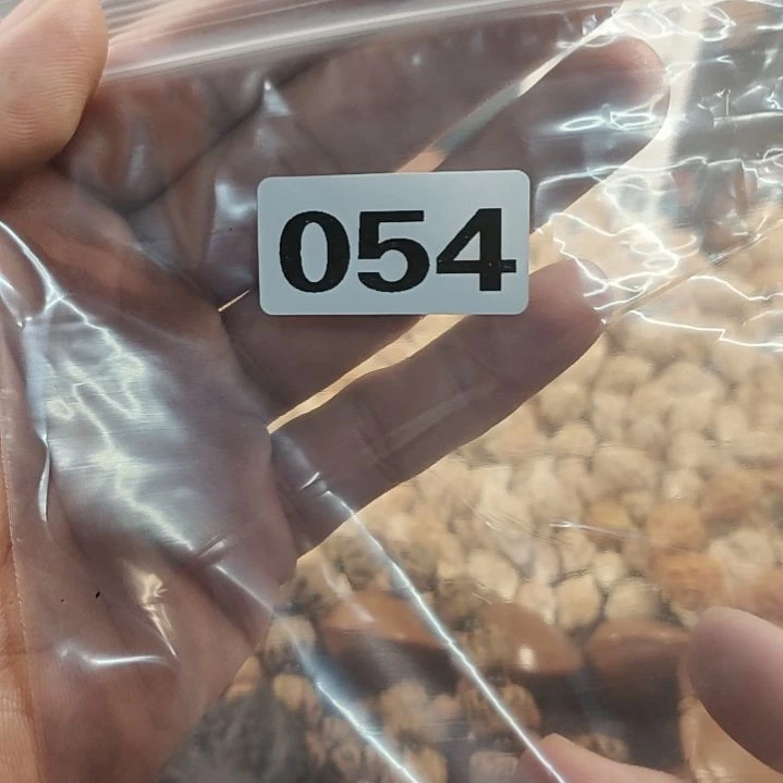 文玩核桃吊坠今****我文玩核桃