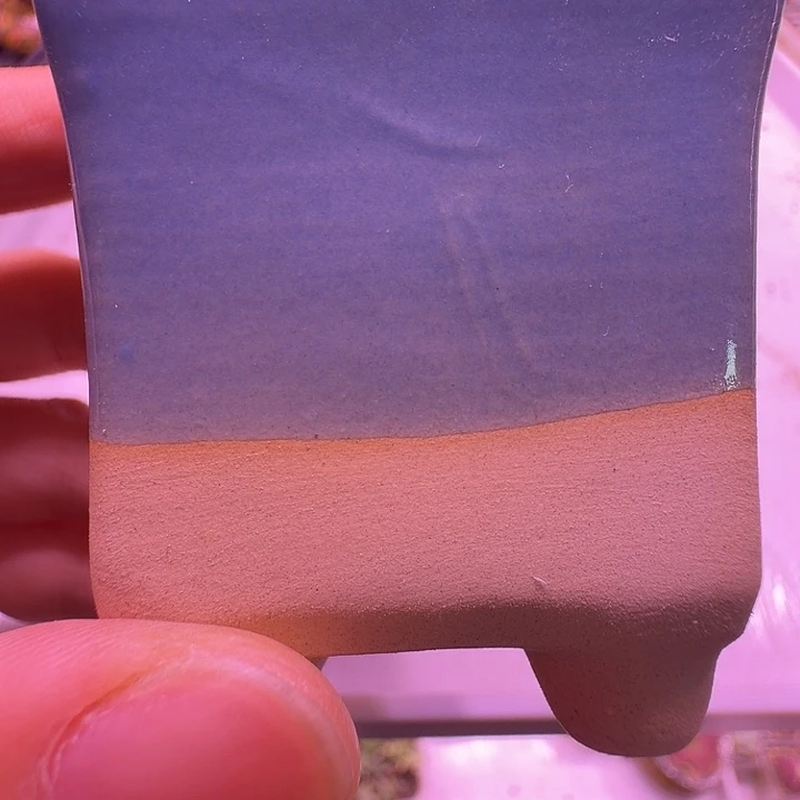 盆34，蓝色小方，多肉盆闲置处理福利出！