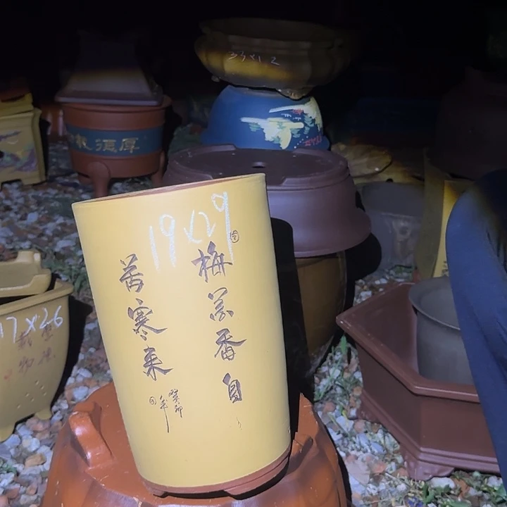 紫砂盆景盆景盆景盆景盆景盆景