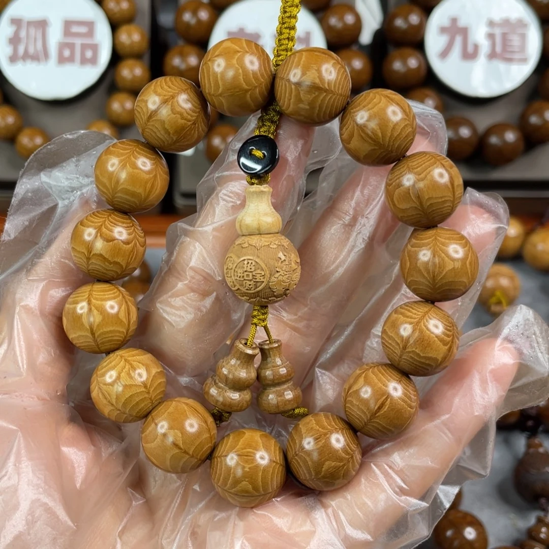 六道木黄金底， 毕业1.5