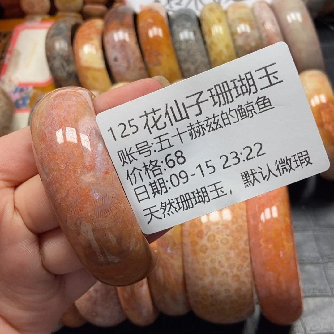 五***鱼未镶嵌硅化珊瑚（珊瑚玉）珠宝半成品125