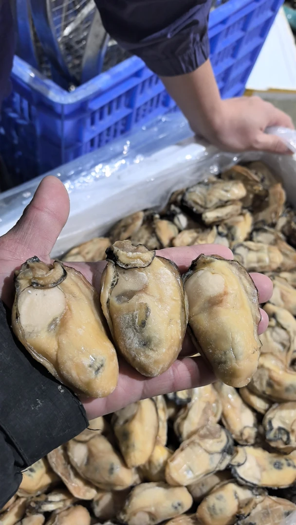 正宗台山金蚝 台山生蚝白玉蚝生晒不抽油 6成干1斤顺丰