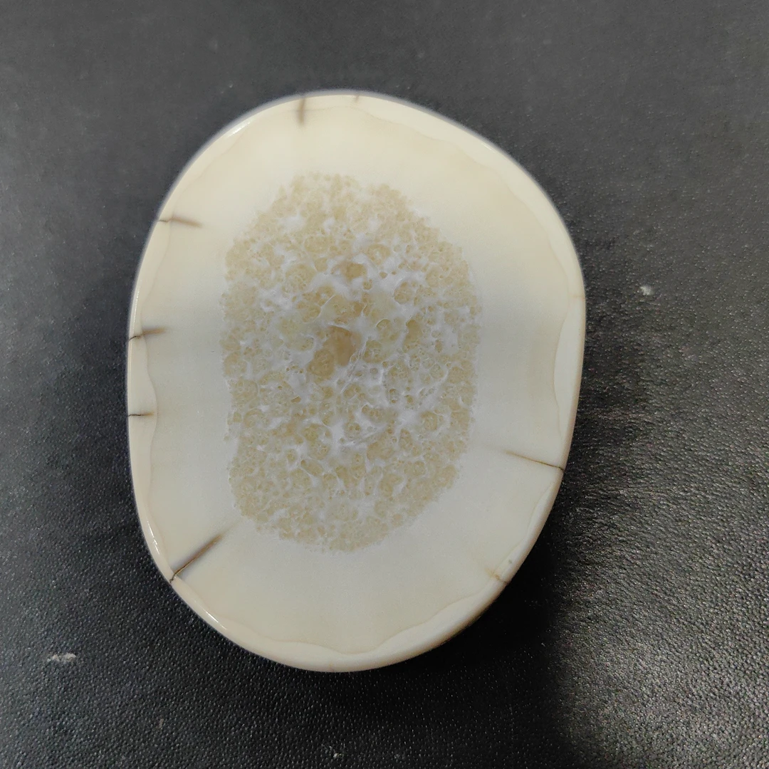 猛犸猛犸虬饼子  WT171