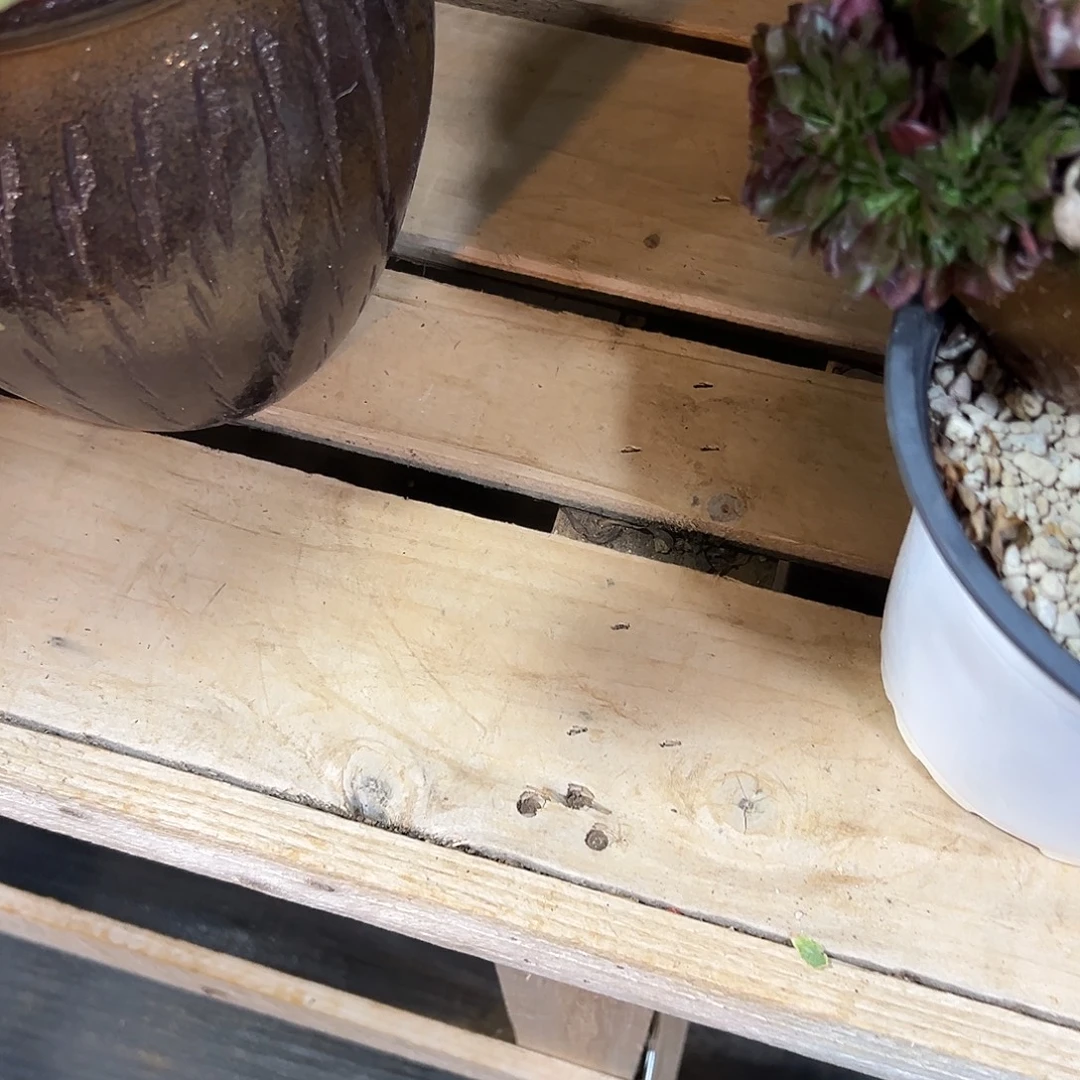 *****发货地址寄养链接