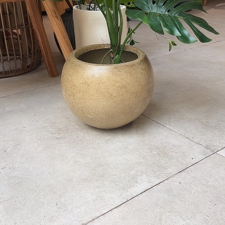 一口价样品，镁泥盆小号