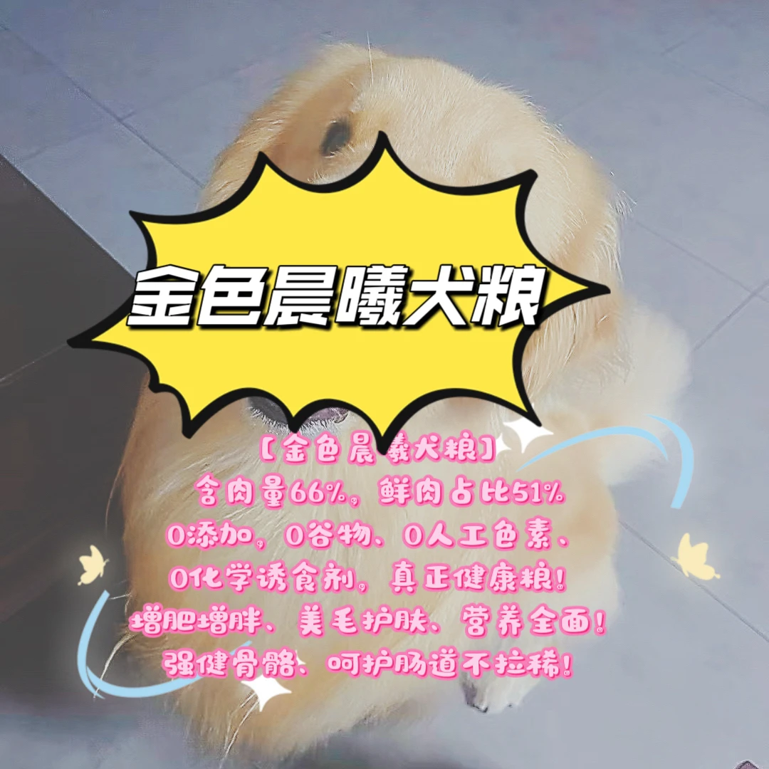 金色晨曦犬舍赛级犬粮呵护肠胃美毛健康