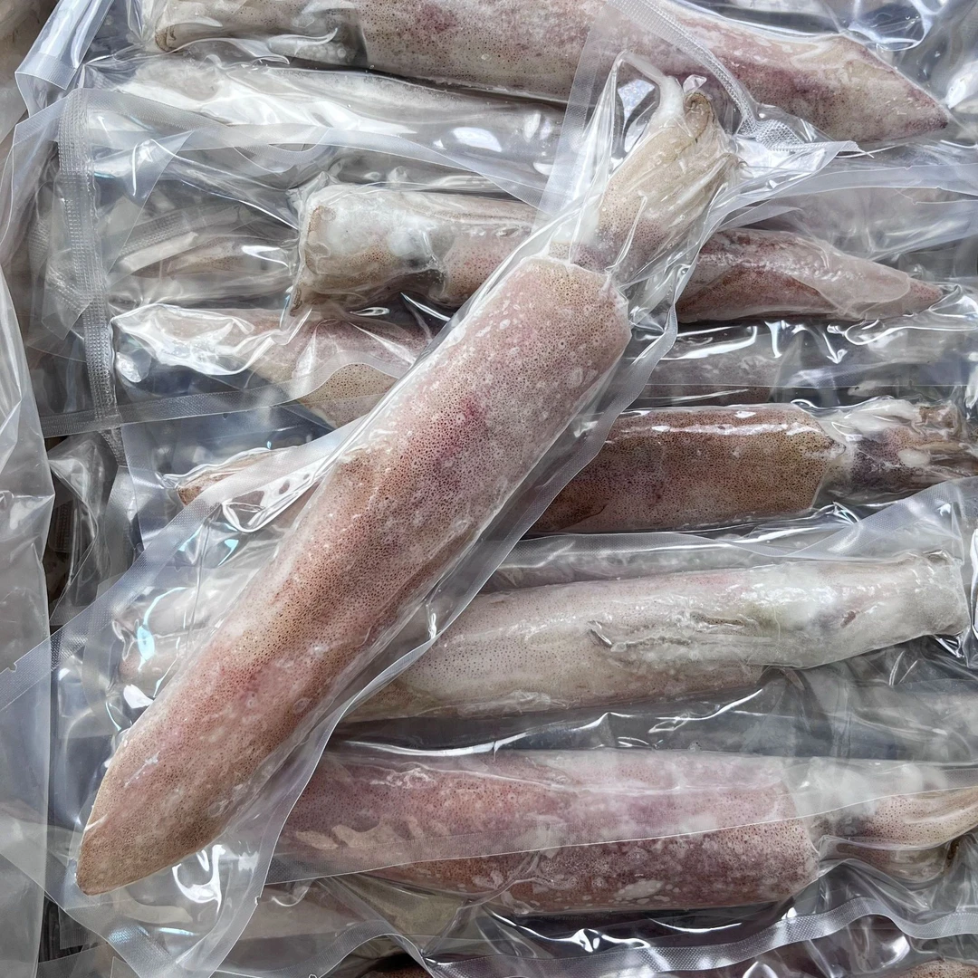 大只灯管鱿鱼新鲜福建特产正宗独立包装速冻送礼精选冷冻2斤海兔