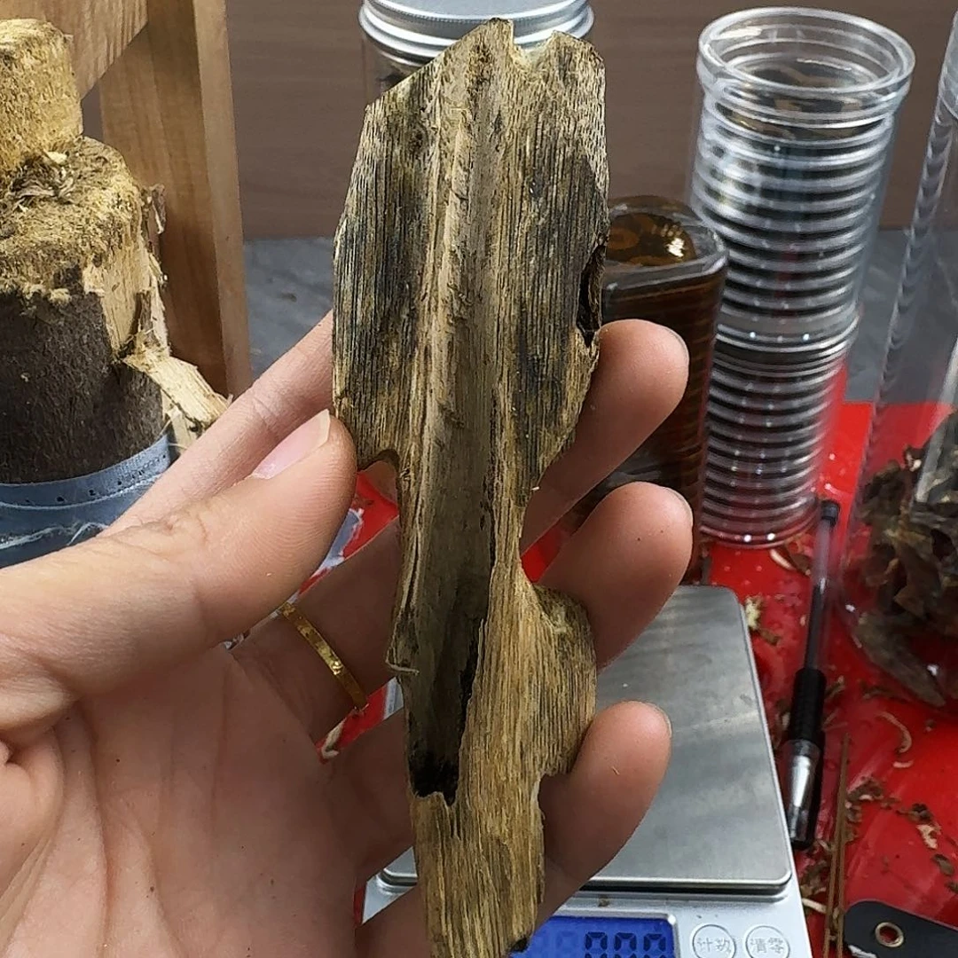 香料绿奇楠虫漏乌身圆叶10克