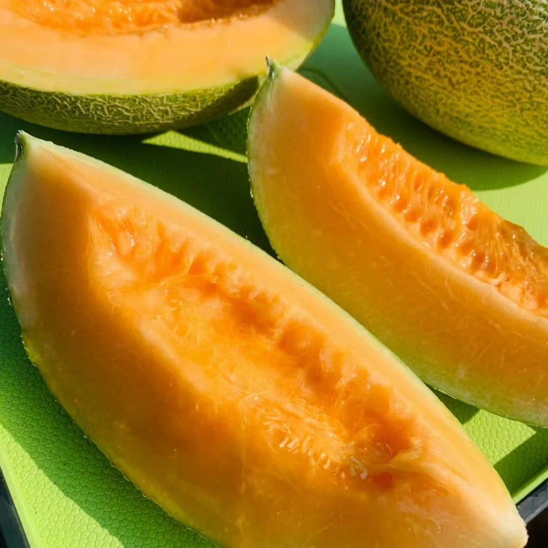 大漠瓜。带箱8斤。