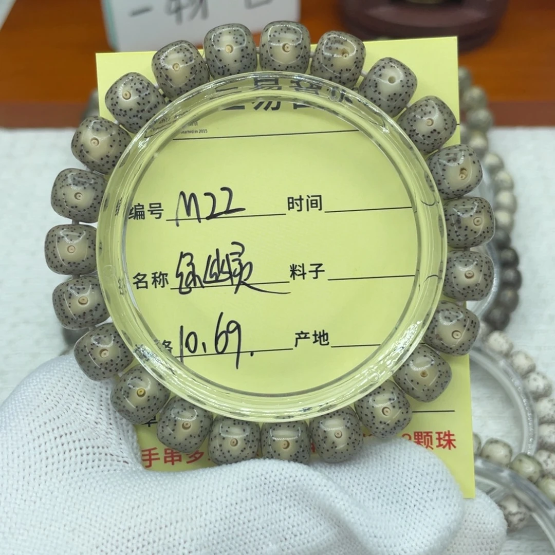 菩提籽类M绿幽灵。