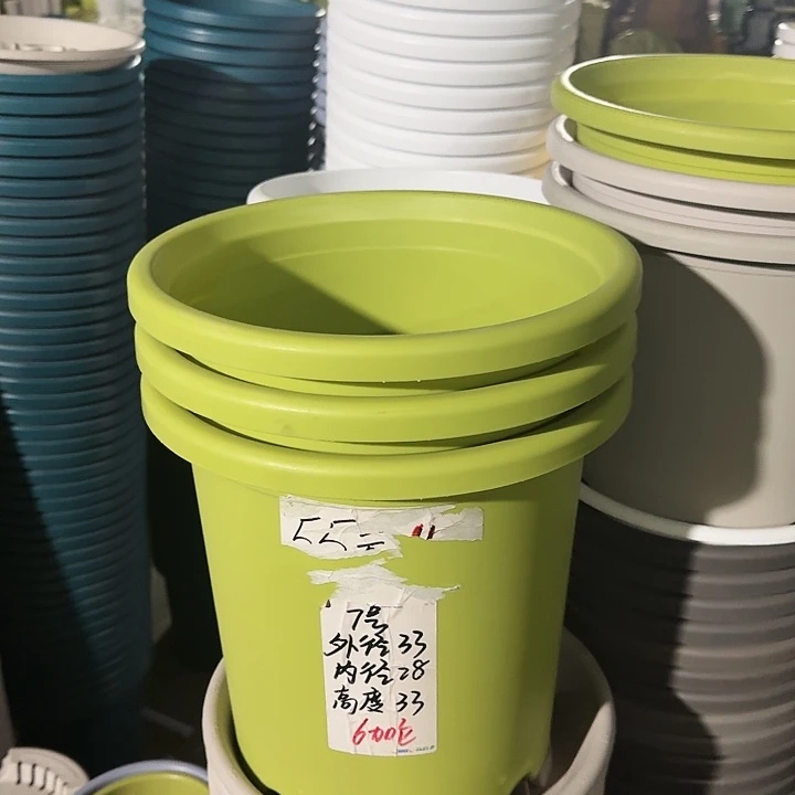 四季7#无托果绿色6个
