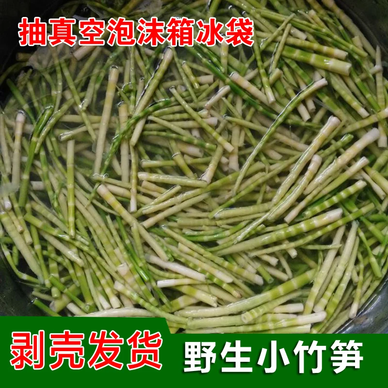 新鲜高山三月小野笋绿笋尖营养脆嫩可火锅炒菜竹笋带壳鲜嫩竹笋丝