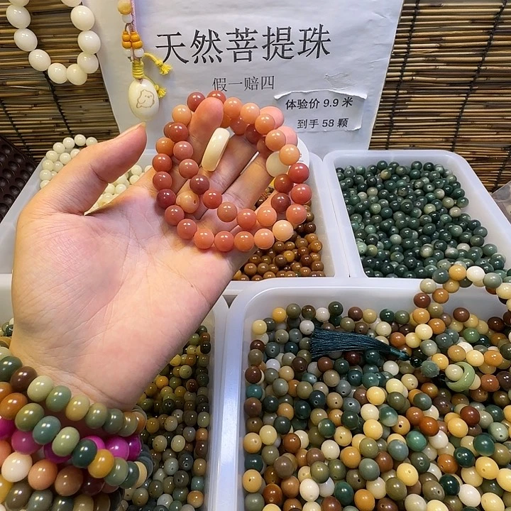 手串菩提根/象牙果