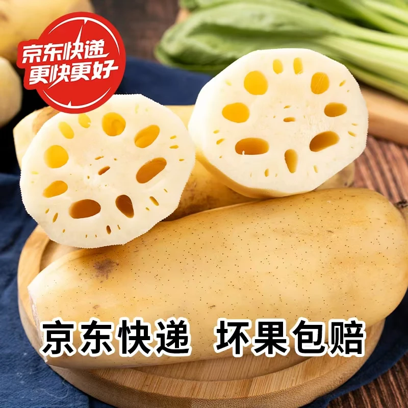 精选洪湖新鲜脆藕清炒脆甜爽口新花脆藕1斤/3斤/4斤装新鲜现挖