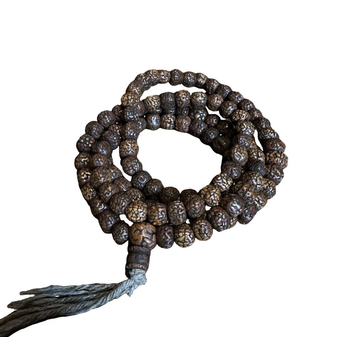 鴻海金刚菩提，链接，直播间