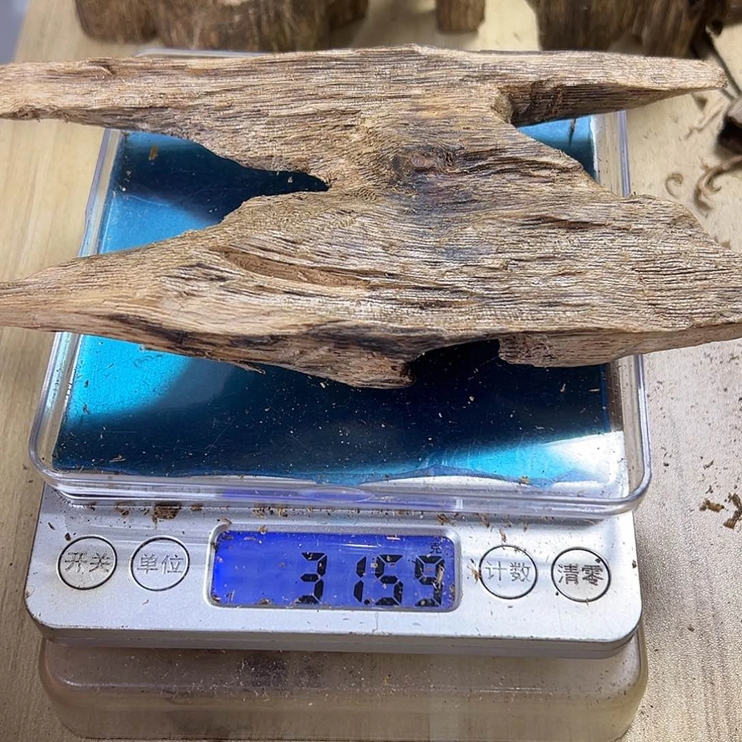 香料绿奇楠虫漏31克乌摄影