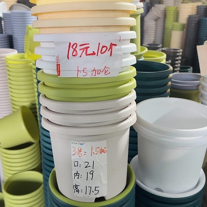 四季3#口径21灰白10个无托