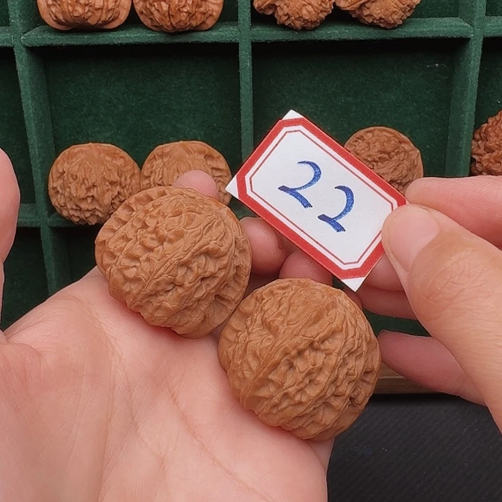 把件文玩核桃白狮子36尺