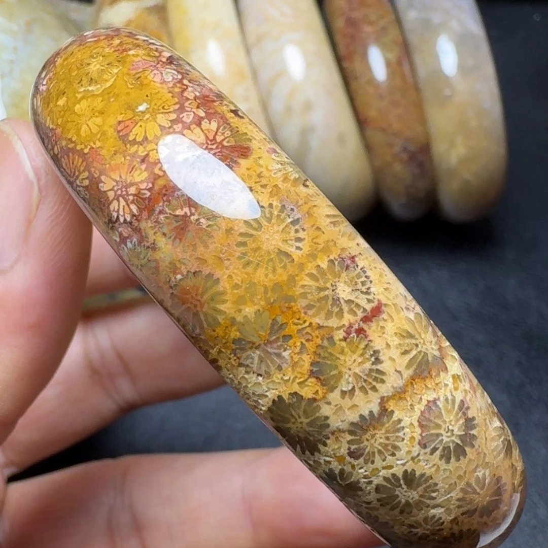 硅化玉54.5圈口特价未镶嵌