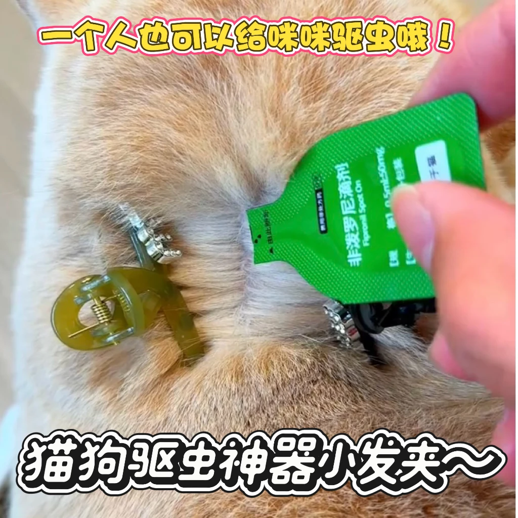 猫咪驱虫神器小猫驱虫发夹辅助小道具工具宠物狗狗发夹抓夹发卡