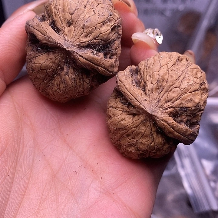 核桃云南野生铁核桃29号42mm