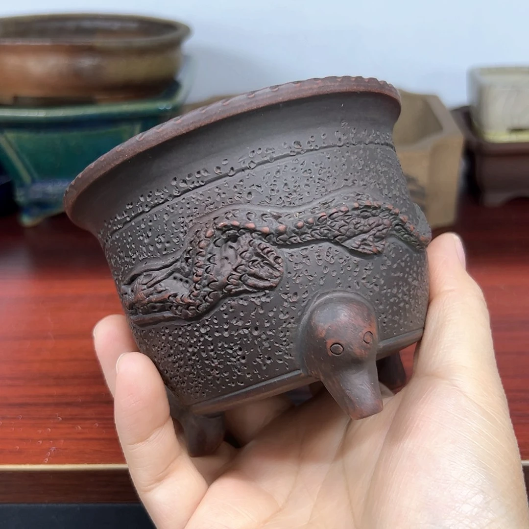 红红火火过大年9999